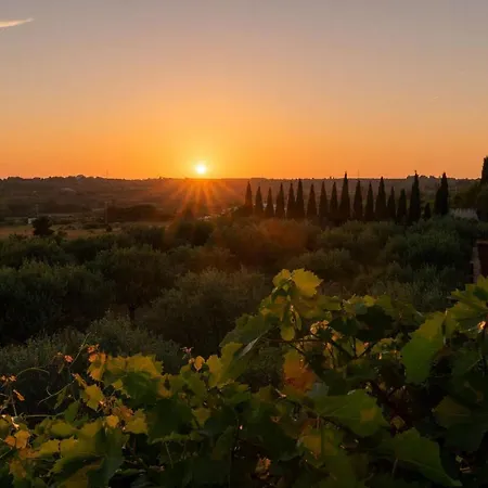 Prázdninový dům Alba *